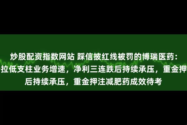 炒股配资指数网站 踩信披红线被罚的博瑞医药：奥司他韦需求下滑拉低支柱业务增速，净利三连跌后持续承压，重金押注减肥药成效待考