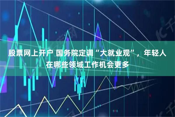 股票网上开户 国务院定调“大就业观”，年轻人在哪些领域工作机会更多
