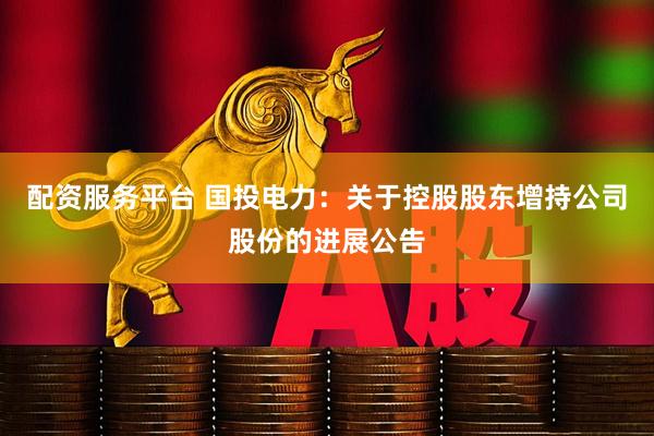 配资服务平台 国投电力：关于控股股东增持公司股份的进展公告